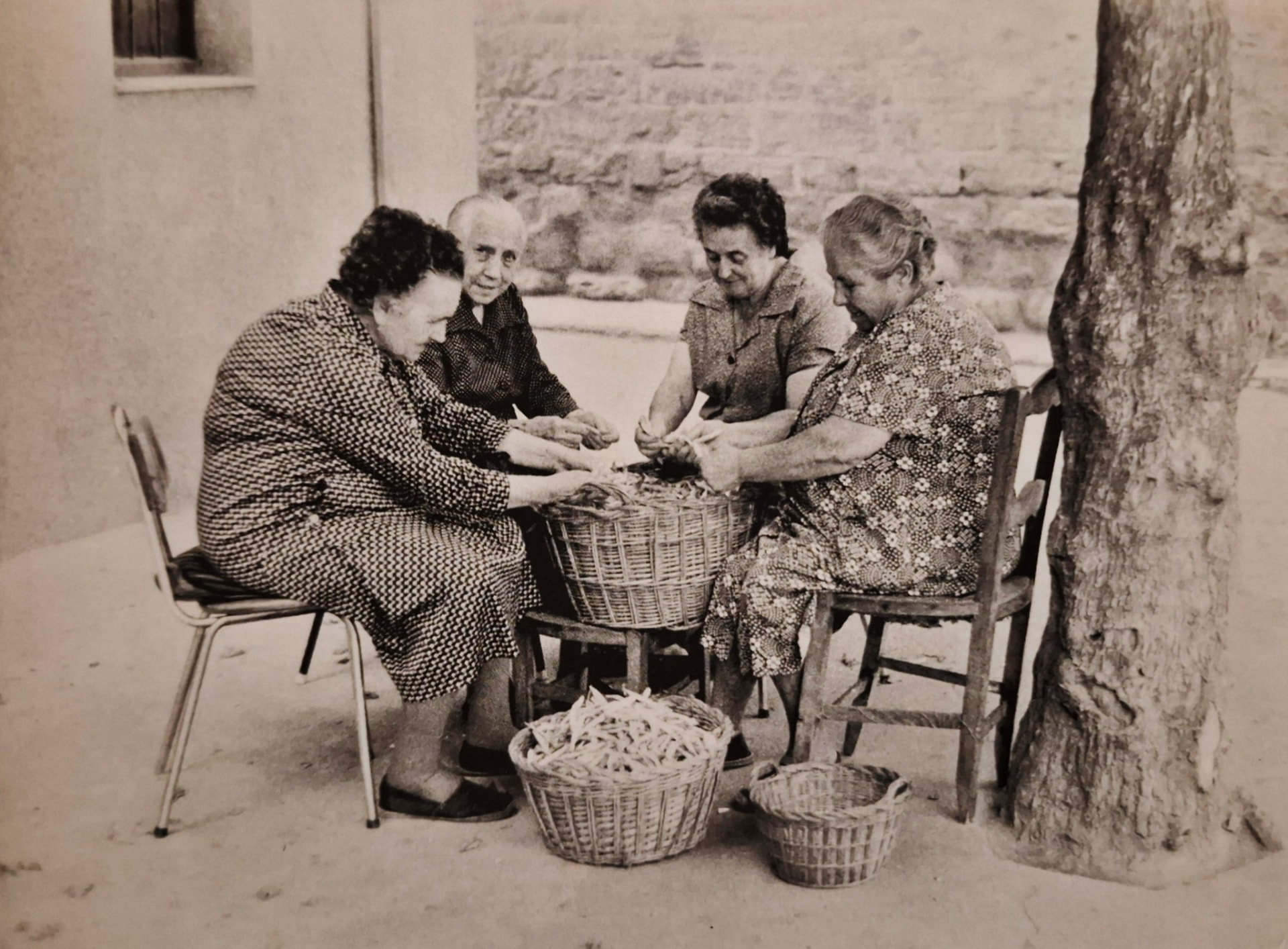 Cuatro mujeres desgranando pochas alrededor de un cesto