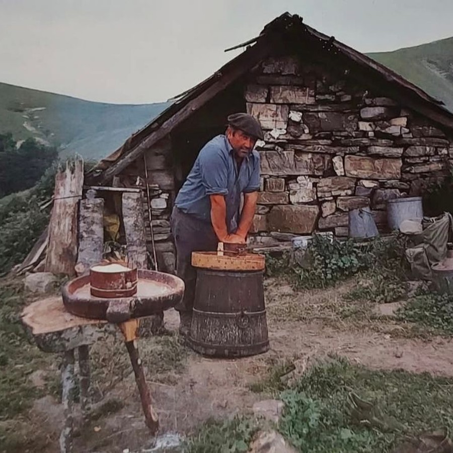Pastor elaborando queso ante una borda de piedra en la montaña de Burguipea